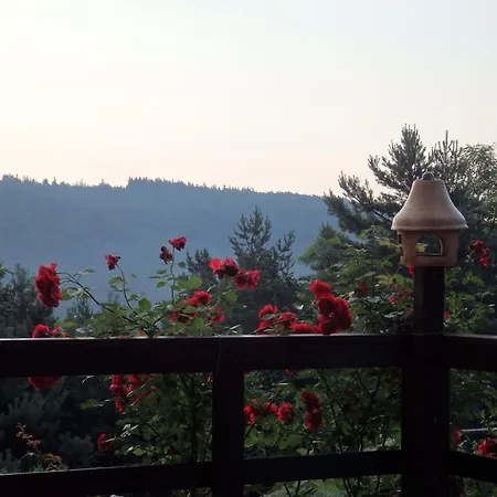 게스트하우스 Blanka Horní Podkozí